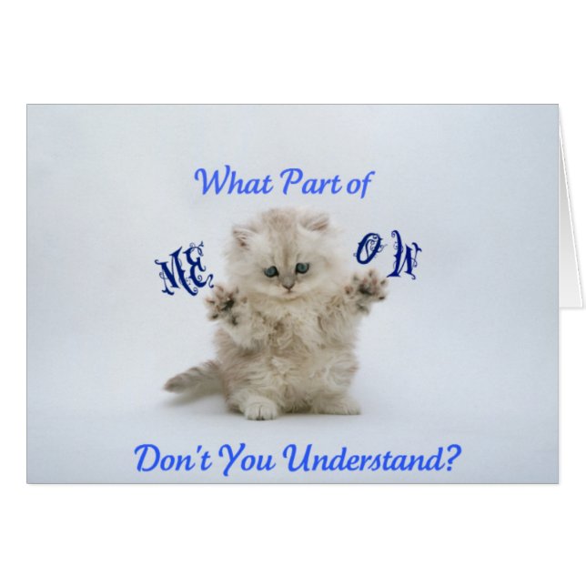 Kätzchen Meow Attitude (Vorderseite (Horizontal))