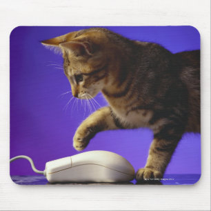 Kätzchen mit Computermaus Mousepad