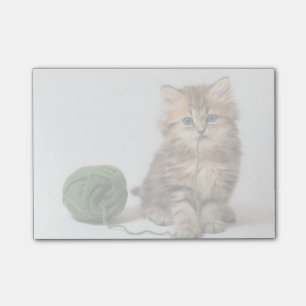 Kätzchen mit grünem Garn Post-it Klebezettel