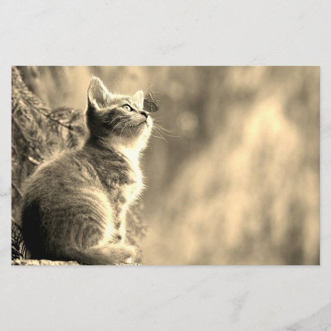 Kätzchen mit Schmetterlingsfreund Briefpapier (Vorderseite)