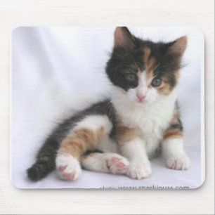 Kätzchen Mousepad