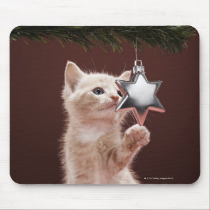 Kätzchen-pawing Weihnachtsdekoration auf Baum Mousepad