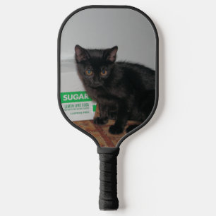 Kätzchen Pickleball Schläger