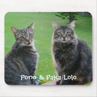 Kätzchen Pono u. Paka Lolo Mousepad