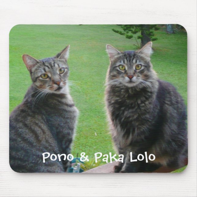 Kätzchen Pono u. Paka Lolo Mousepad (Vorne)