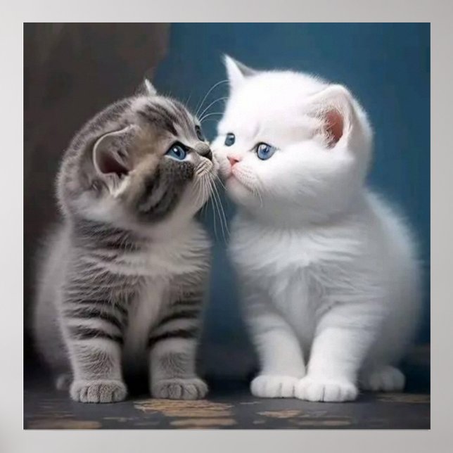 Kätzchen Poster (Vorne)