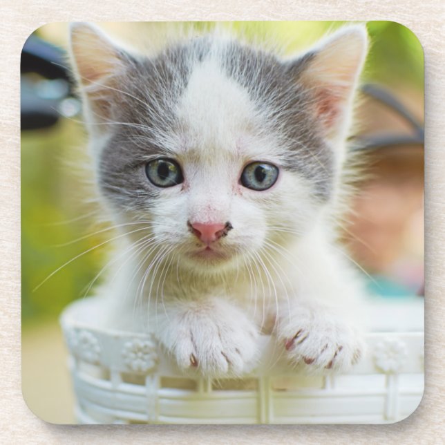 Kätzchen reitet ein Fahrrad Untersetzer (Vorderseite)