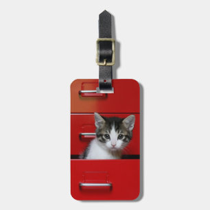 Kätzchen-Spähen Gepäckanhänger