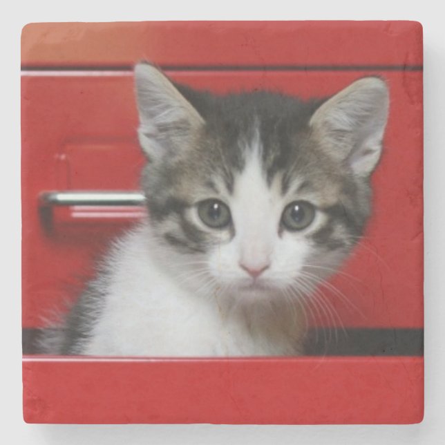 Kätzchen-Spähen Steinuntersetzer (Vorderseite)