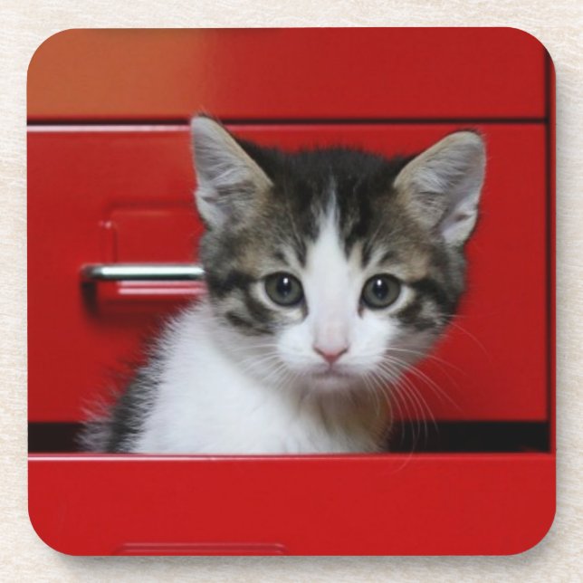 Kätzchen-Spähen Untersetzer (Vorderseite)