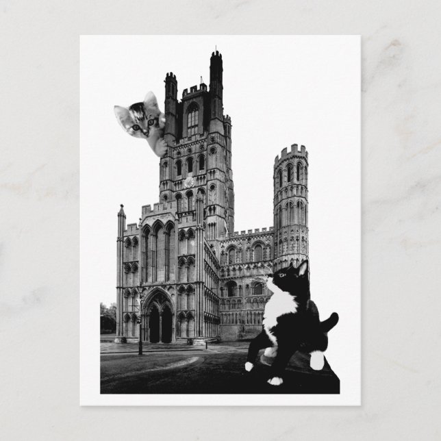 Kätzchen spielen auf der Ely Cathedral Postkarte (Vorderseite)