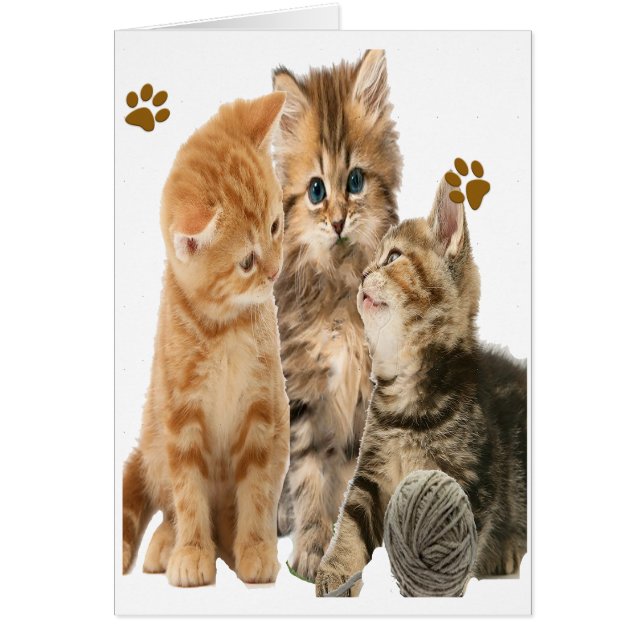 Kätzchen spielen T - Shirt (Vorne)