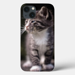 Kätzchen-stehendes hohes Case-Mate iPhone hülle