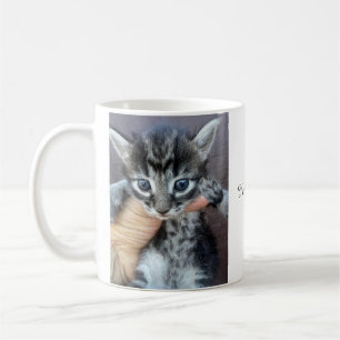 Kätzchen-Tasse, Prokrastinations-Tasse, Lustige Ta Kaffeetasse