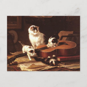 Kätzchen und Gitarre Postkarte