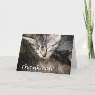 Kätzchen und Katze danken Ihnen Dankeskarte
