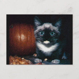 Kätzchen und Kürbis für Halloween Postkarte