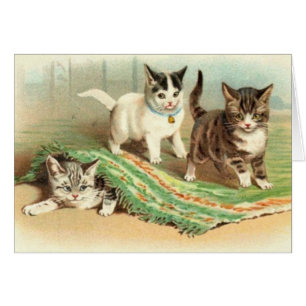 Kätzchen-Verstecken