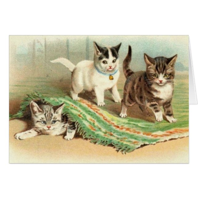 Kätzchen-Verstecken (Vorderseite (Horizontal))