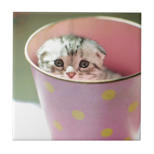 Kätzchen-Verstecken Fliese (Vorderseite)