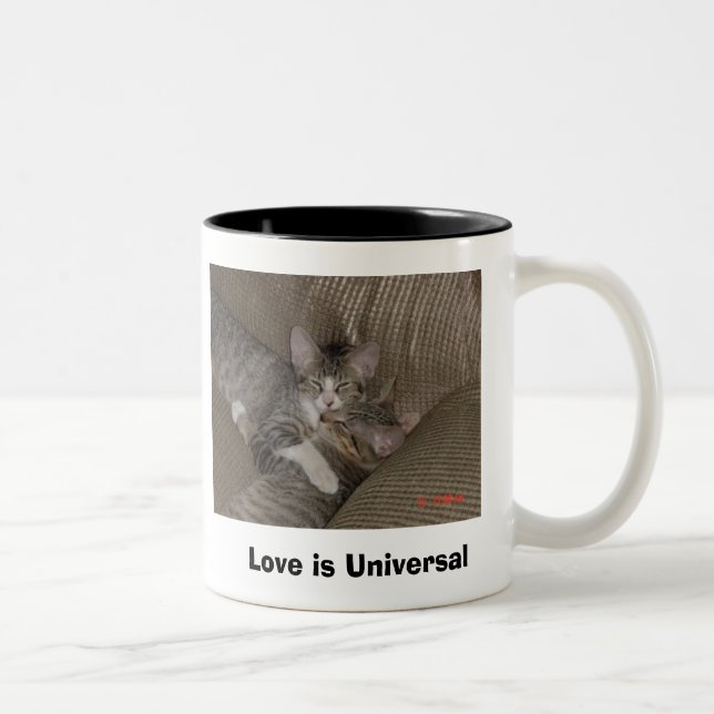 Kätzchen Zweifarbige Tasse (Rechts)