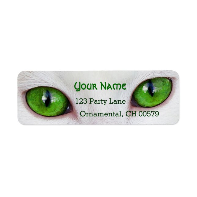Kätzchengrüne Augen (Vorne)