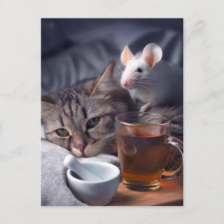 Kätzchenruhe im Bett Postkarte