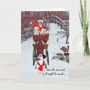 Kätzchens Sleigh Ride Feiertagskarte