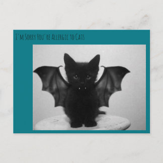 Kätzchenschläger Postkarte