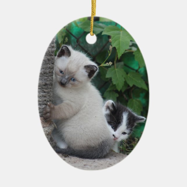 Kätzchenverzierung Keramik Ornament (Vorne)