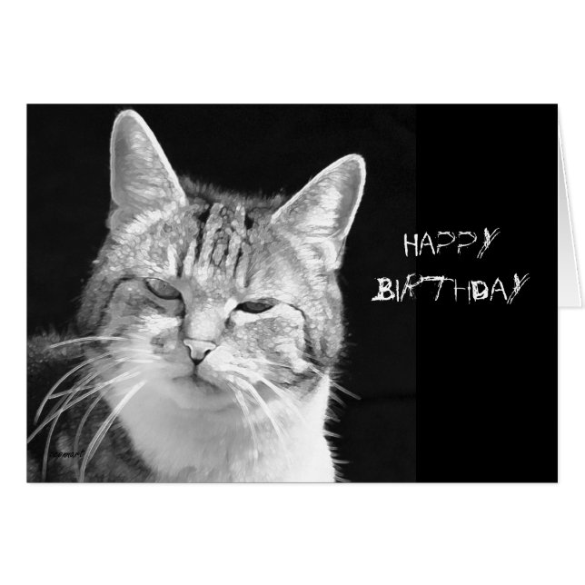 Katze (Vorderseite (Horizontal))