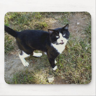 Katze 10, Maus-Pad Mousepad