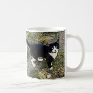 Katze 10, Tasse