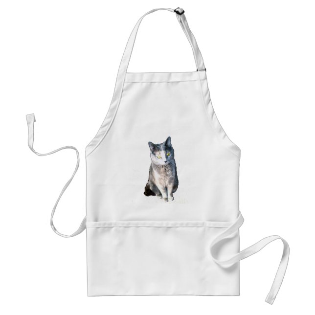 Katze 11, Schürze (Vorne)