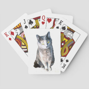 Katze 11 Spielkarten