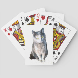 Katze 11 Spielkarten