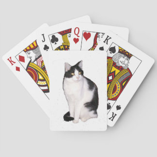 Katze 12 Spielkarten