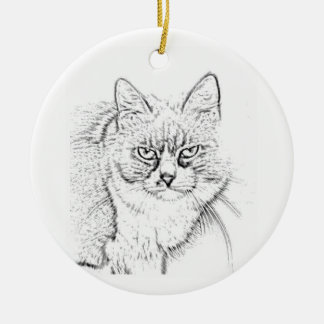 Katze 13 Skizze, Ornament