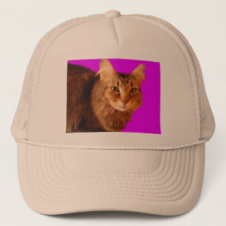 Katze 14 Hat Truckerkappe