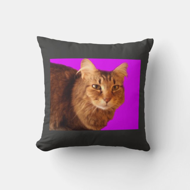 Katze 14 Kissen (Vorderseite)