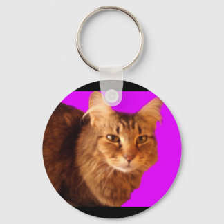 Katze 14 Schlüsselanhänger