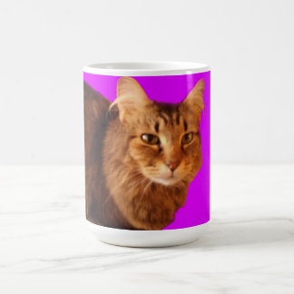 Katze 14 Tasse