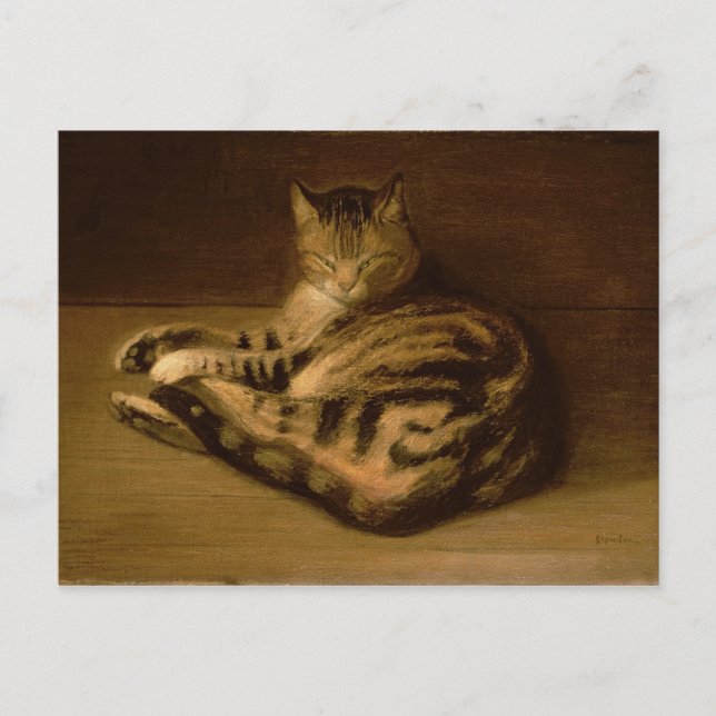 Katze, 1898 postkarte (Vorderseite)