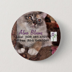 Katze 3 button