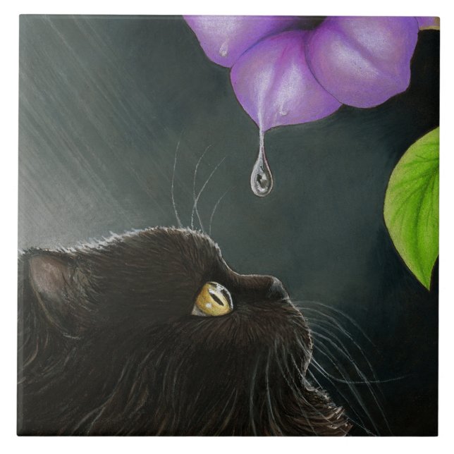 Katze 514 Schwarzpersisch Fliese (Vorderseite)