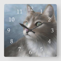 Katze 682