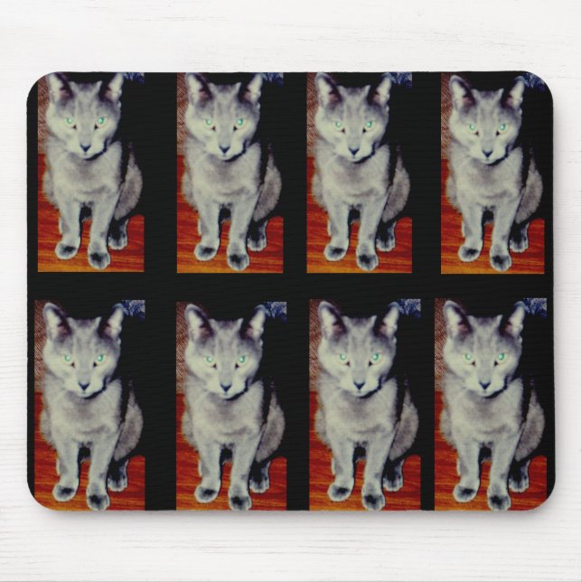 Katze #6, Mousepad (Vorne)