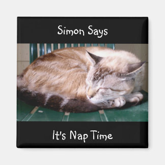Katze 7, Es ist Nickerchen Zeit, sagt Simon, Magne Magnet