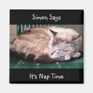 Katze 7, ist es Nickerchen-Zeit, sagt Simon, Magnet