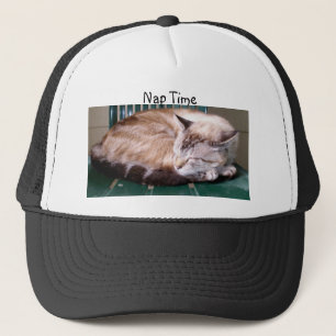 Katze 7, Nickerchen Zeit, Hut Truckerkappe